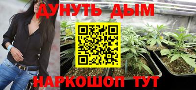 сатива Конаково