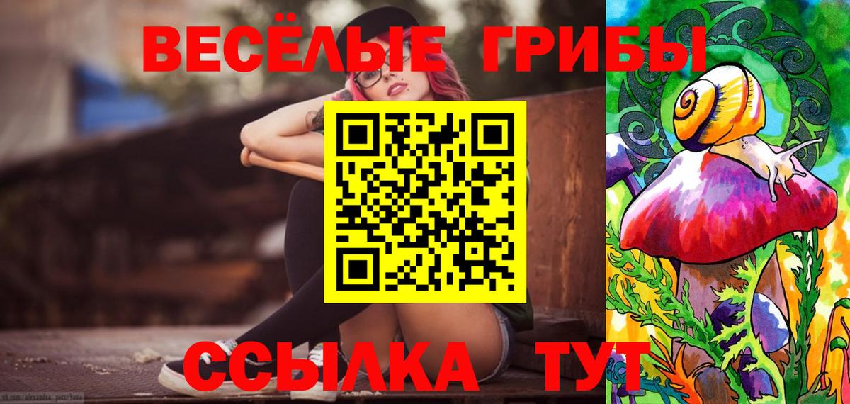 Псилоцибиновые грибы мицелий  Вход с VPN  Котлас 