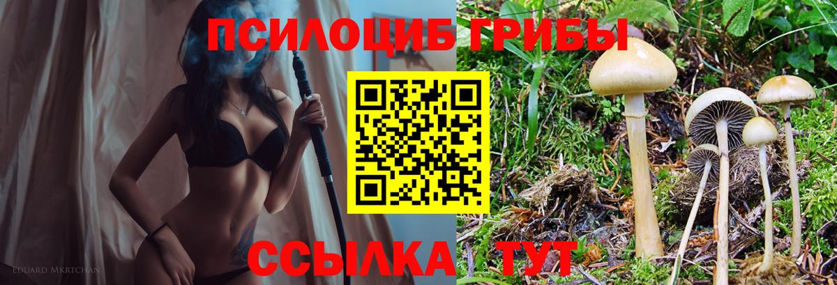 Конопля  Котлас  A PVP СК   Марихуана  ГАШ  Меф   Вход с VPN 